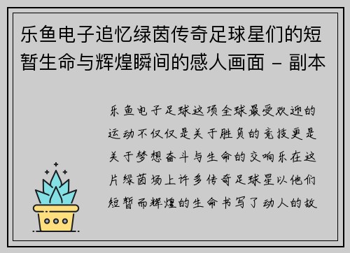 乐鱼电子追忆绿茵传奇足球星们的短暂生命与辉煌瞬间的感人画面 - 副本