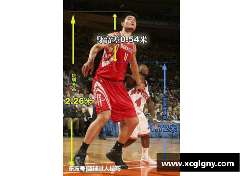 乐鱼电子NBA球员真实身高曝光！详细图解球员实际身高对比，揭秘明星球员真实身高秘密