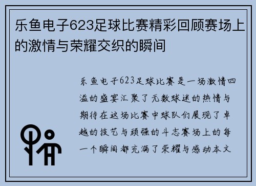 乐鱼电子623足球比赛精彩回顾赛场上的激情与荣耀交织的瞬间